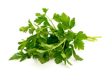 Green leaves of parsley on white