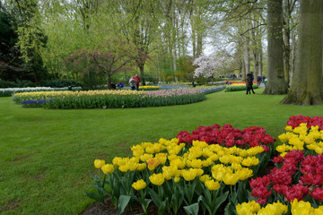 Dutch spring Keukenhof Gardens in the Netherlands. Landscape