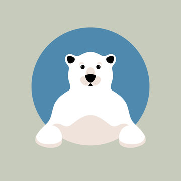 polar bear head vector illustration style Flat
