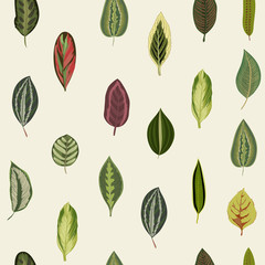 Vintage organic leaves. Exotic tropical print. Vector seamless pattern.