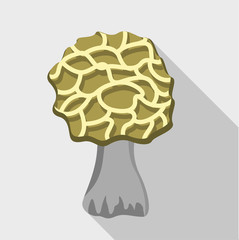 Morel icon, flat style