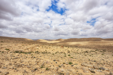 Fototapeta na wymiar Negev desert on Israel south