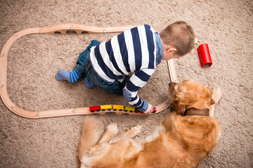 Boy, dog, train