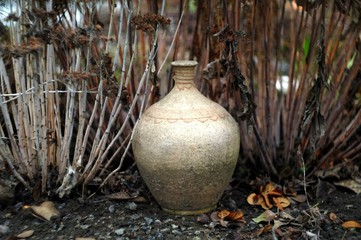 Old pitcher  in the garden