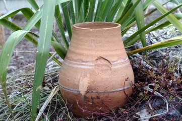 Old pitcher  in the garden