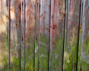 Vertical red plank wall with mold