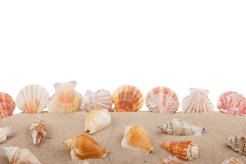 Fototapeta na wymiar Seashells on beach isolated on a white background