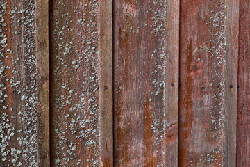Vertical red plank wall with mold