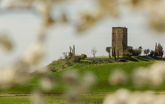 Paesaggi Senesi Toscana Torre Tarugi