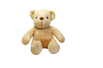Teddy Bear on white