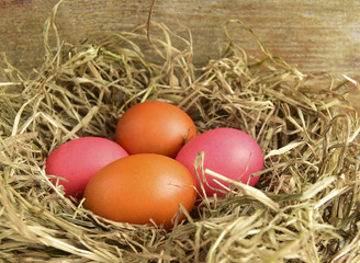 Fototapeta na wymiar Пасхальные цветные яйца являются символом праздника. Яйца находятся в гнезде.