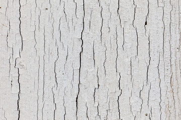 Dry white paint with upright cracks