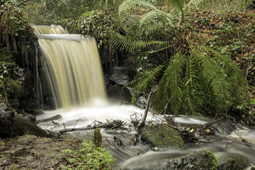 Obraz premium Waterfall