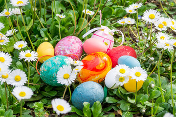 colorful easter egg in the fresh spring meadow, among the daisies