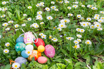 colorful easter egg in the fresh spring meadow, among the daisies