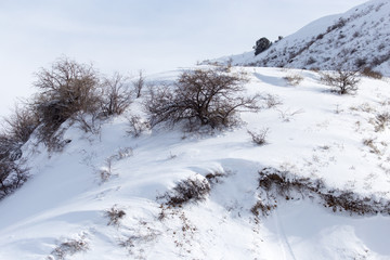 Fototapeta na wymiar snowy mountains in nature
