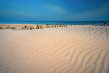 Grass, white sand dunes beach in the morning on the shore of the Baltic Sea. Poland.	