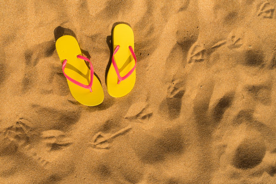 Summer beach fun - yellow flip-flops with seagull footprints
