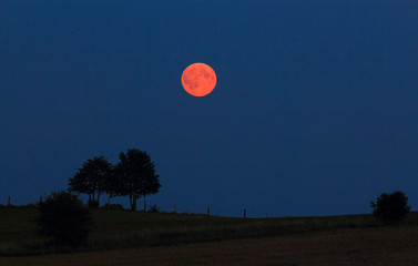 Księżycowa Noc © Wojciech Lisiński
