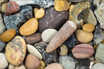 Donnerkeil und verschiedene Steine vom Strand