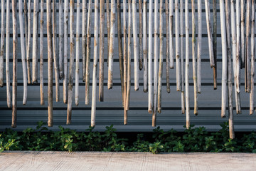 Obraz premium Cut bamboo background