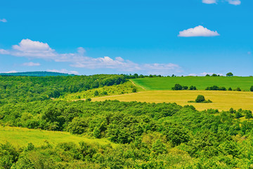 Obraz premium Forest and Fields
