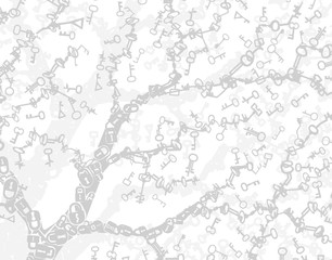 Keys White Background