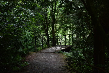 Pathway