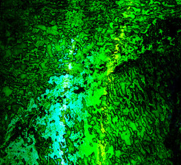 Fototapeta premium A vibrant green texture illuminated from behind.