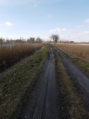 Droga polna © michalsen