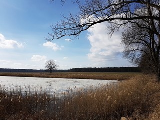 Staw © michalsen