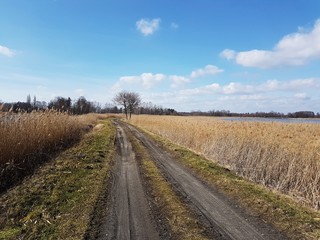 Droga polna © michalsen