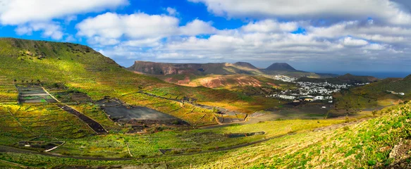 Foto op Aluminium Lanzarote - impressive beauty of volcanic island. Panoramic view of Haria village © Freesurf