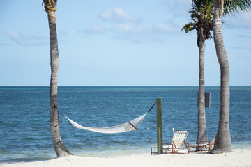 Obraz premium Beach Palm Hammock 02