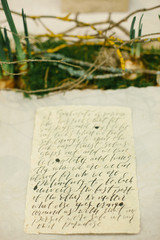 Graphic arts of beautiful wedding calligraphy cards, onion of narcissus and moss as elements of festive table wedding centerpieces decorations.