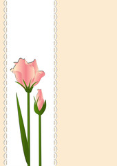 Pink flowers on a background of white lace thin rectangle.Vector illustration. 