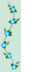 Vine with forget-me-nots against a background of pale blue rectangle with lace. Vector illustration.