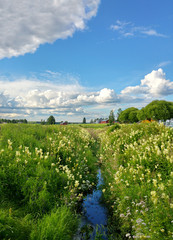 Fototapeta na wymiar A view of the summer in rural Ostrobothnia, Finland