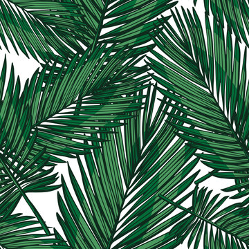 phoenix palm seamless tropical background