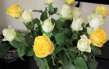 Yellow rose. Beautiful rose bouquet