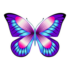 Obraz na płótnie Canvas Bright beautiful purple butterfly. Vector illustration isolated.