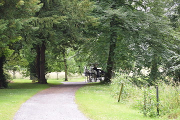 Horse drawn cart