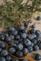 Huckleberry