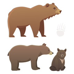 Collection with different cartoon bears isolated on white background. Vector broun and black american bear. Set Wildlife or zoo grizzly.