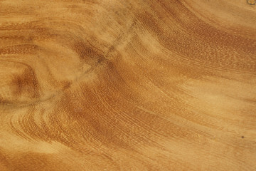 The texture of the solid wood. Background