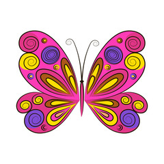 Butterfly on a white background. Vector illustration.