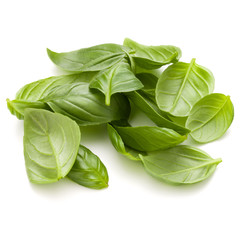 Sweet basil herb leaves handful isolated on white background closeup