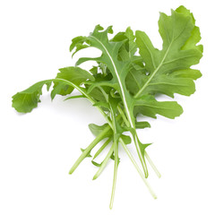 Close up studio shot of green fresh rucola leaves isolated on white background. Rocket salad or arugula.