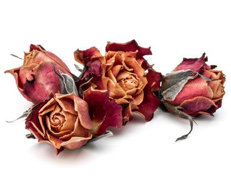 Fototapeta dried rose flower head isolated on white background cutout