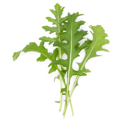 Close up studio shot of green fresh rucola leaves isolated on white background. Rocket salad or arugula.